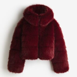 H&M Perfect Moment Hooded Down Puffer Jacket